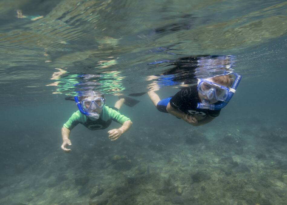Snorkelling in the Port Stephens-Great Lakes Marine Park. Pictures: Dr David Harasti