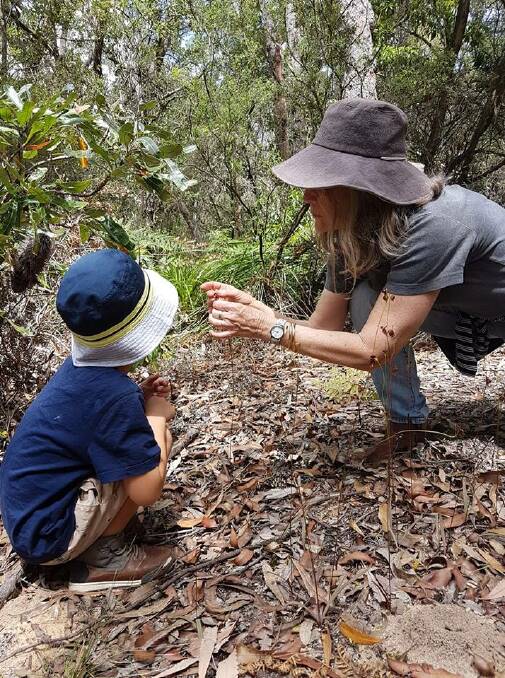Explore the Hunter Region Botanic Gardens during the Children's Discovery Day on July 5. The cost is $5 per child. Parking is free. 