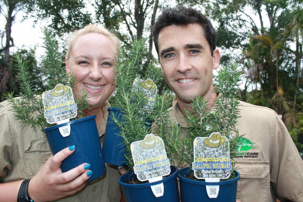 PLANT PROJECT: Amy and Steve Cuneo at Plant Trade Nursery with the Anzac commemoration rosemary. Picture: Stephen Wark
