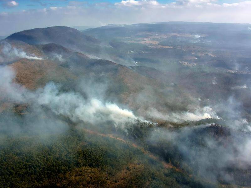 A forest fire in Cuba has caused extensive damage to forest plantations and coffee crops. (EPA PHOTO)