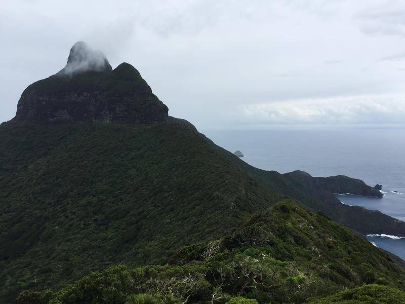 A tsunami threat for Lord Howe Island and other areas of the South Pacific has passed. (Julian Drape/AAP PHOTOS)