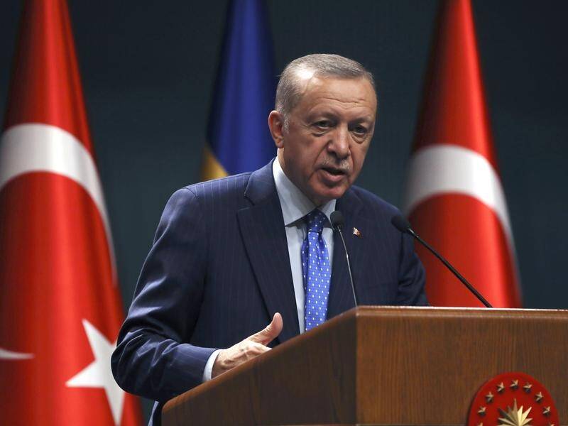 ""Those who allow such blasphemy" can't expect Turkey's support, Recep Tayyip Erdogan says. (AP PHOTO)