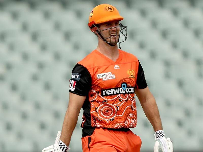 A "happy" Mitch Marsh is one of Australia's main weapons at the T20 World Cup.