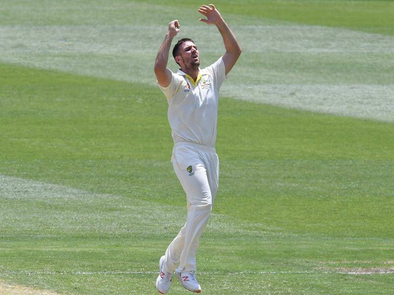 Mitch Marsh has been ruled out of the WA Sheffield Shield side with a groin injury.