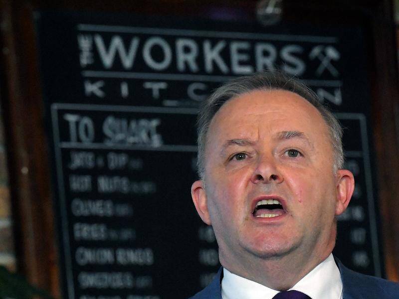Anthony Albanese is running again for the Labor leadership, after missing out in 2013.