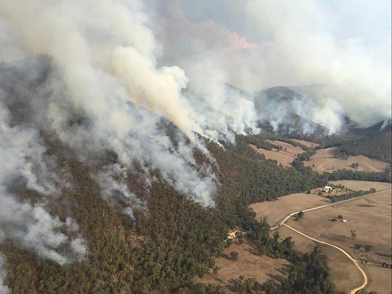 Firefighters are battling to contain a massive deliberate bushfire in Victoria's alpine region.