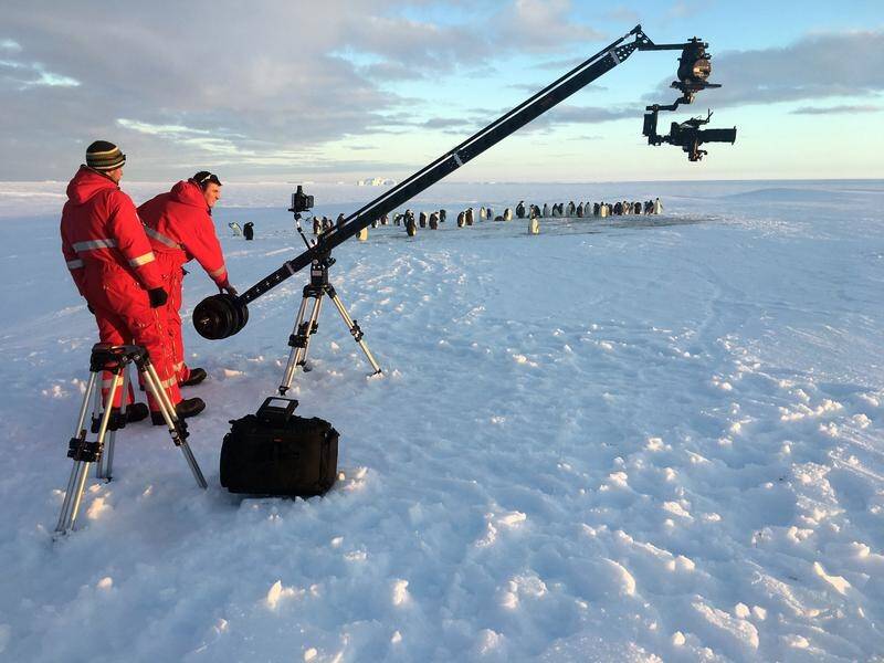 A BBC film crews has been praised by viewers for saving trapped penguins in Antarctica.