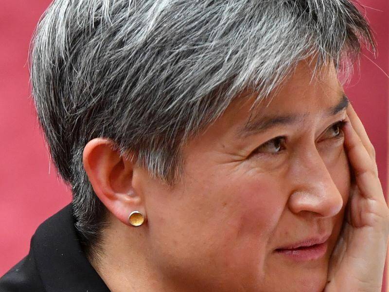 Labor Senator Penny Wong says backbenchers shouldn't define Australia's discussion about China.