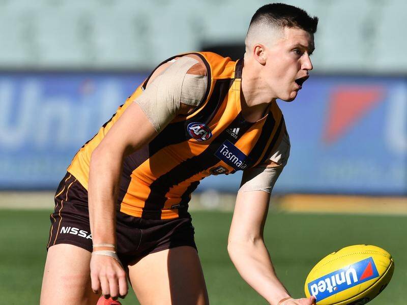 Mitch Lewis's concussion sustained while boxing training has the AFL asking questions of the Hawks.
