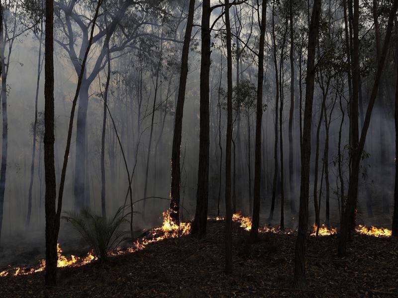 Bushfire survivors say the state's EPA has failed in its duty to regulate greenhouse gas emissions.