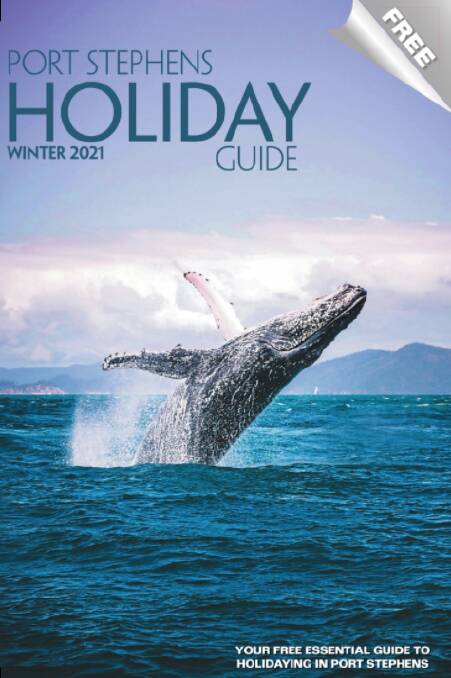 Check out all the Holiday Guide by clicking on the image. 