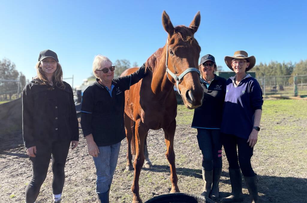 SAFE HAVEN: Hunter Horse Haven volunteers Kat Peksis, Joan Davison, Louise Evans and Michelle Holtfreter. Photo: Alanna Tomazin
