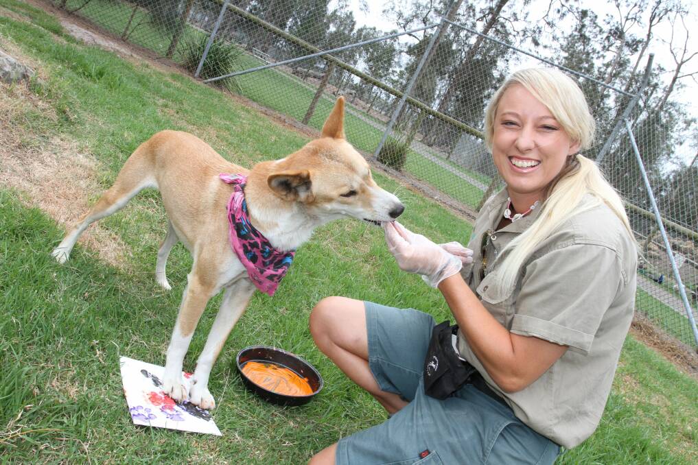 PAW-SOME: Kaya the dingo, with Lia Reeve-Parker, painting at Oakvale Farm, Salt Ash. Picture: Stephen Wark